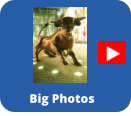 Big Photos